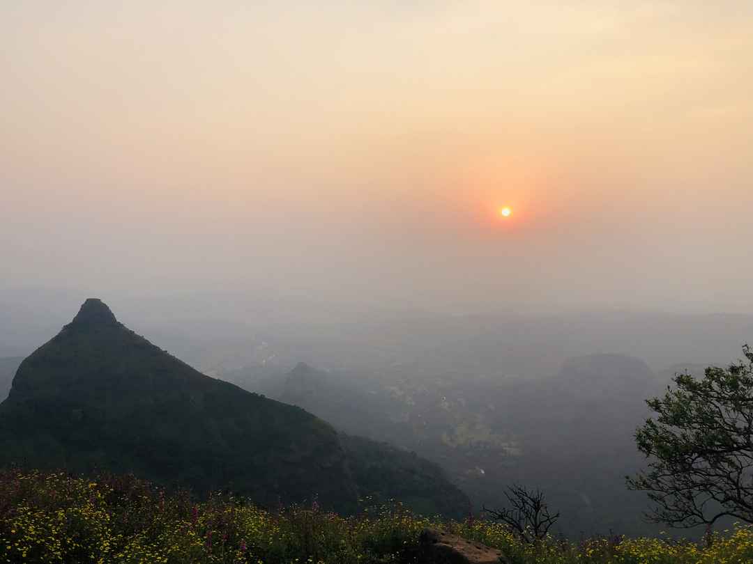 Lion's Point